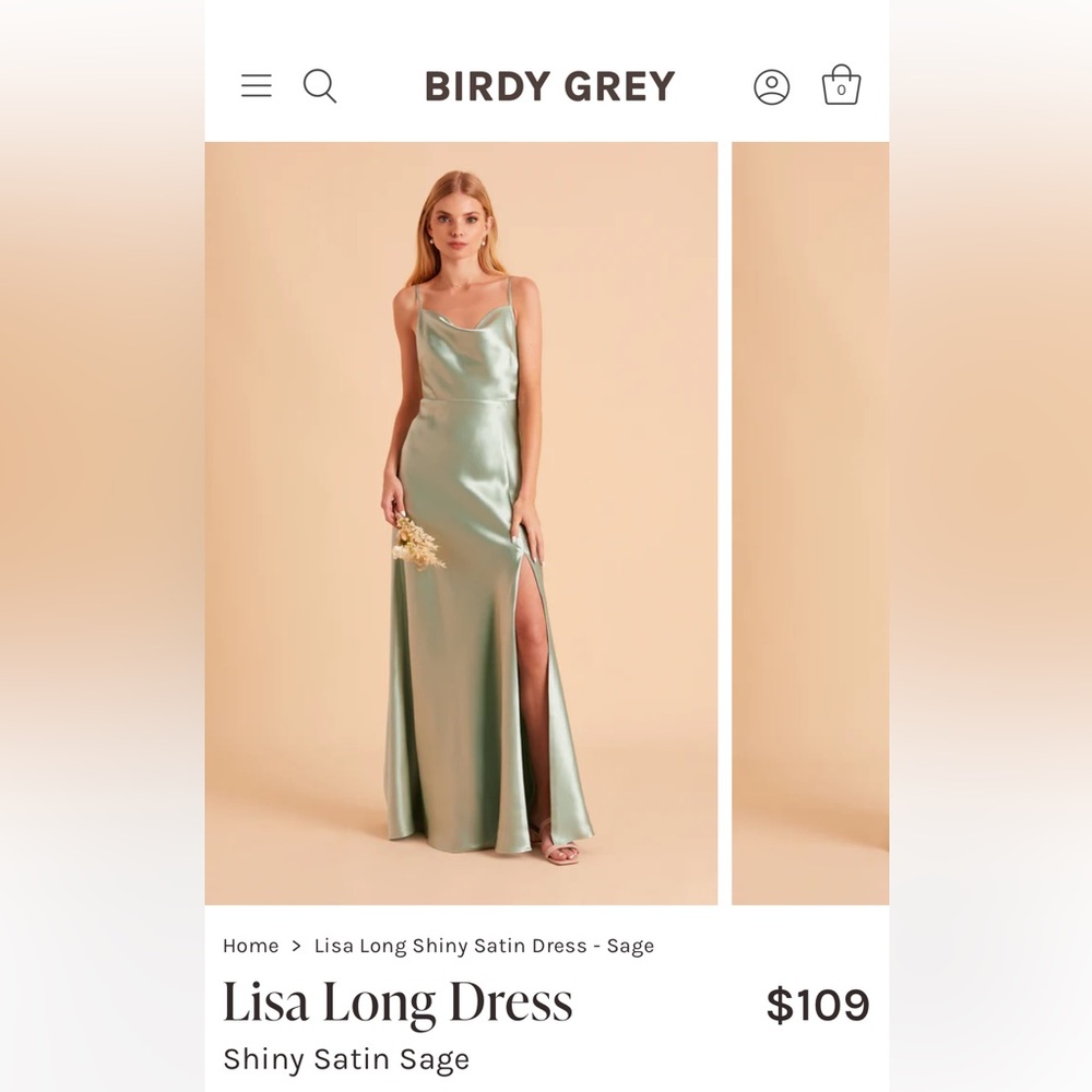 Birdy Grey Lisa Long Dress in Shiny Satin Sage